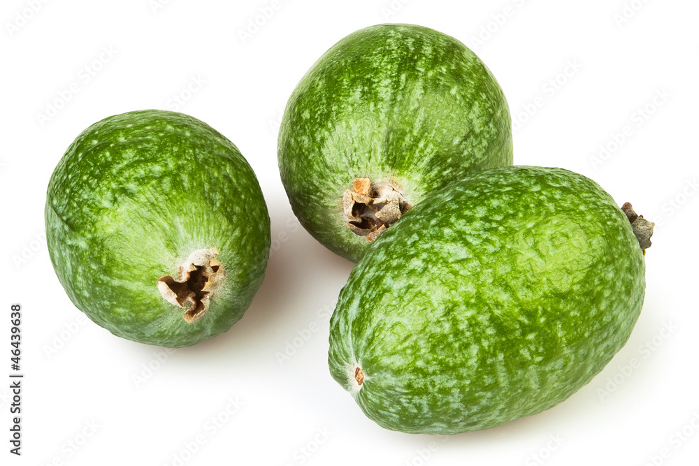 feijoa three feijoa three