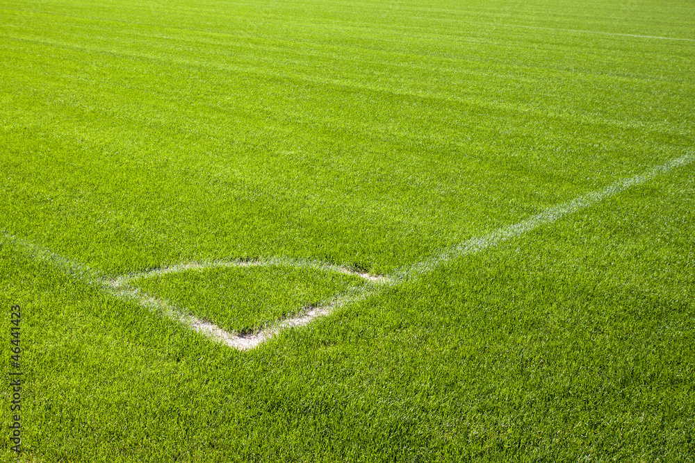 Football grass background