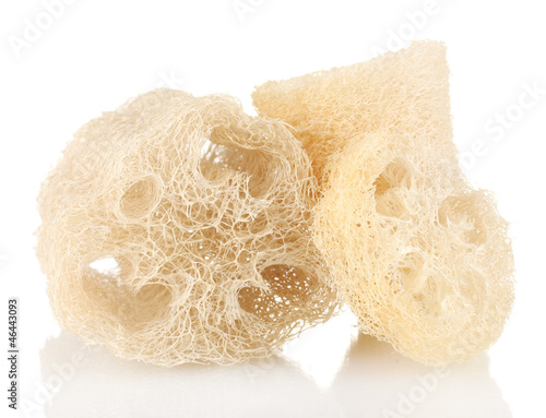 Obraz na płótnie Loofah isolated on white