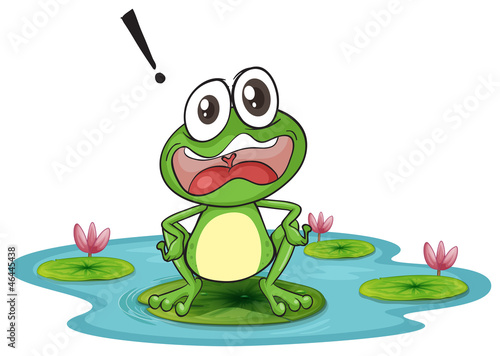 a frog and a water