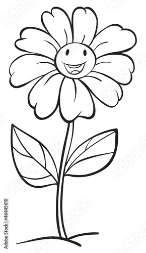 a flower sketch