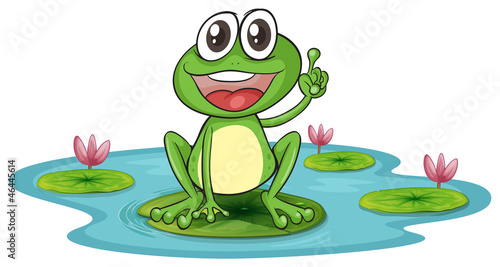 a frog and a water