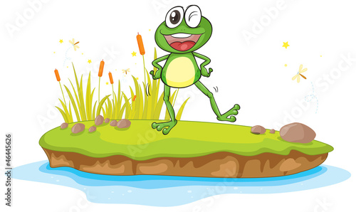 a frog and a water