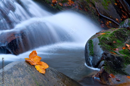 autumn waterfall