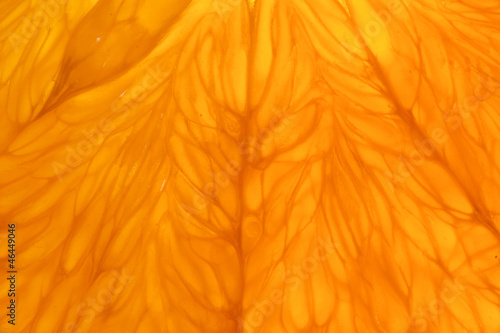 Εκτύπωση καμβά orange