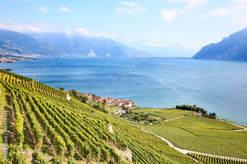 Lavaux region