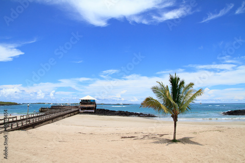  beach of the Galapagos Islands