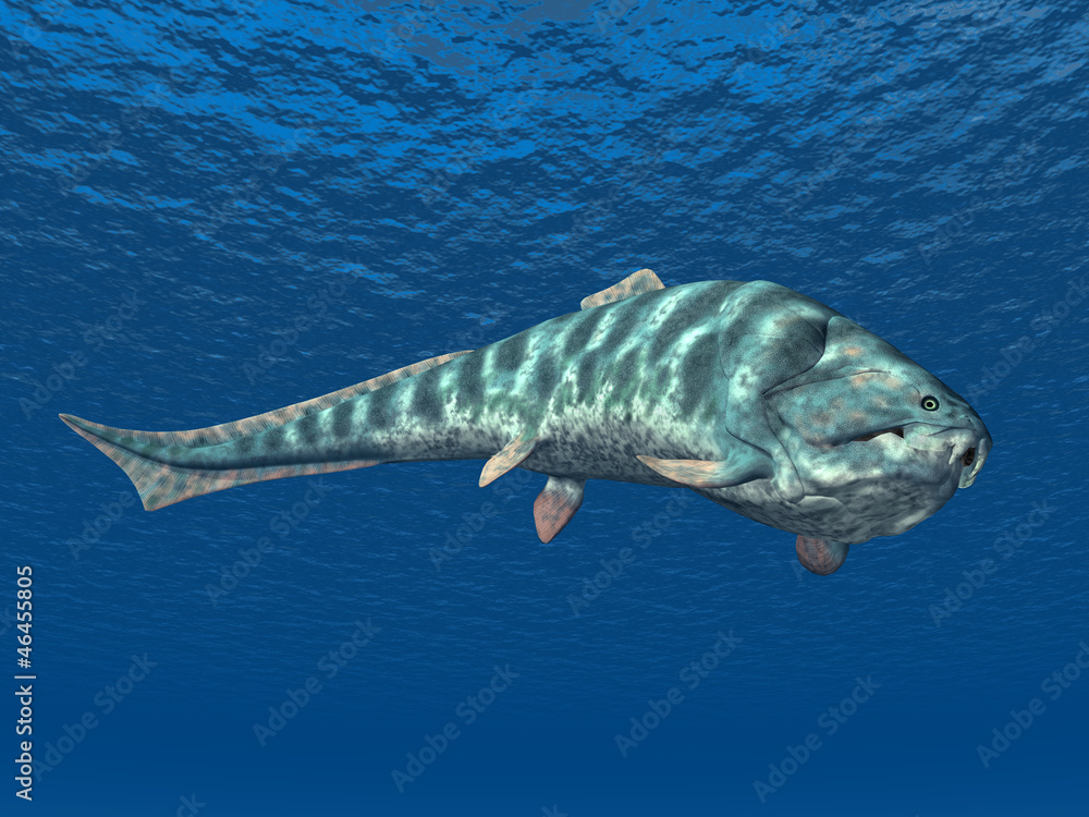 Fototapeta premium Dunkleosteus