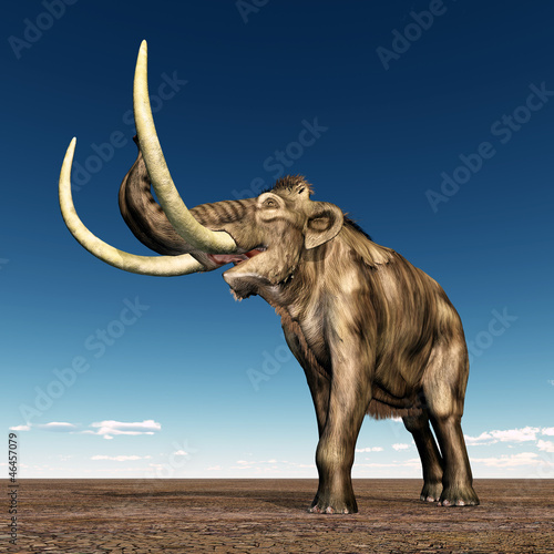 Mammoth © Michael Rosskothen