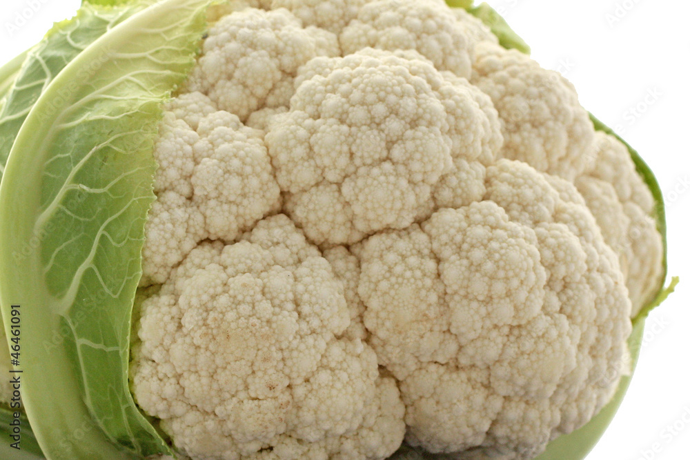 Gros plan sur le chou fleur Gros plan sur le chou fleur