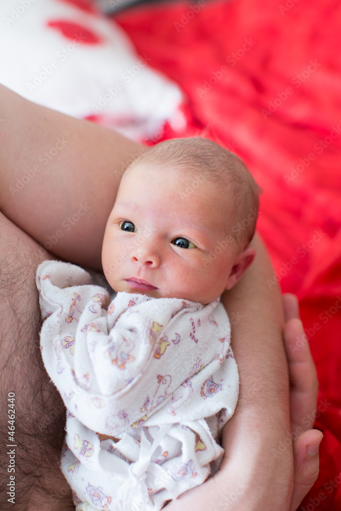 Newborn baby girl on the fathers hands at home Newborn baby girl on the fathers hands at home