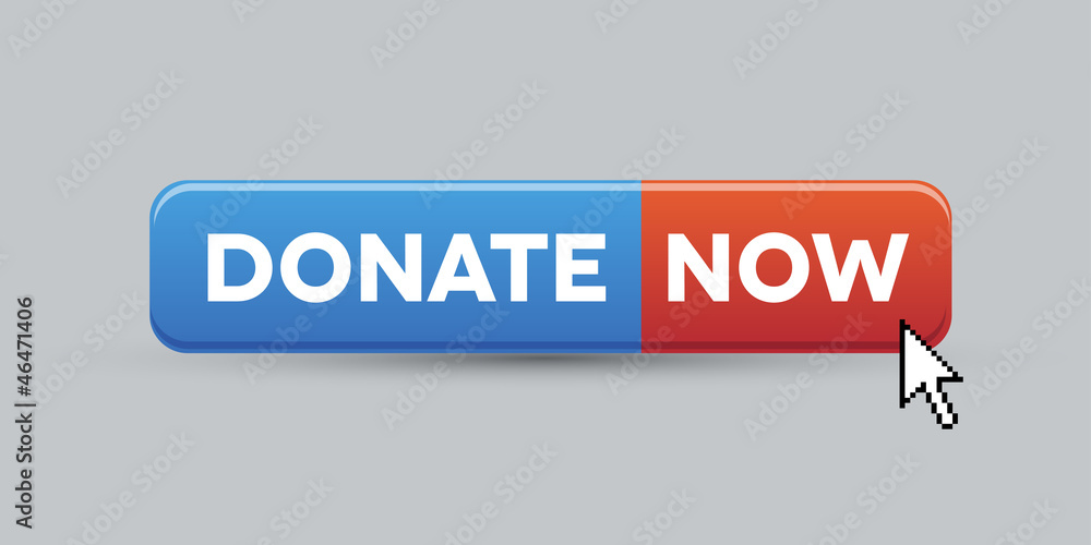 Donate now button Donate now button