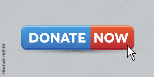Donate now button