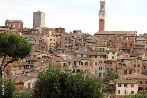 View of Siena from above, Siena, Tuscany, Italy,