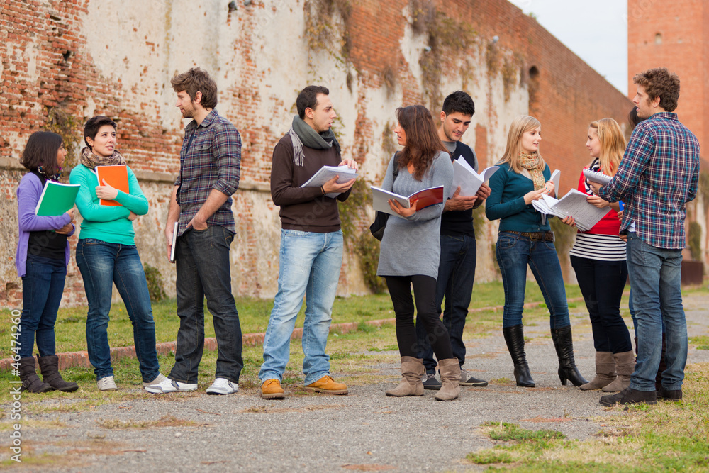 Naklejka premium Group of Multicultural College Students