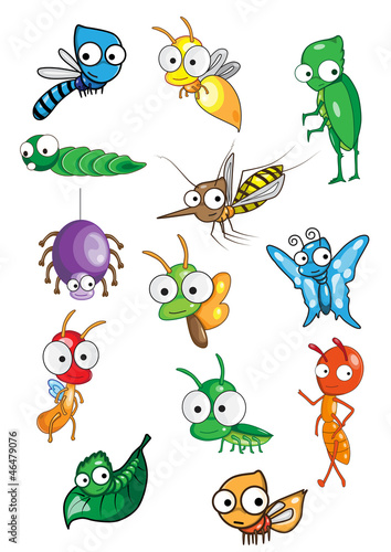 Collection of insect