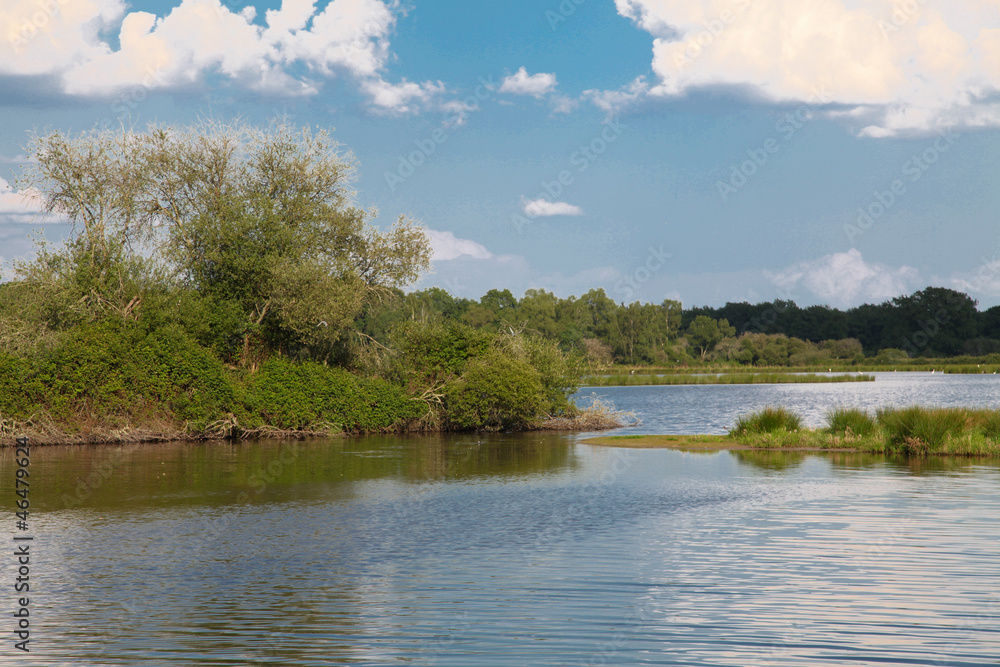 Lake in Sologne