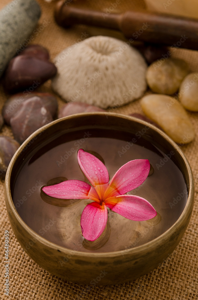 tropical spa setup with frangipani flower tropical spa setup with frangipani flower