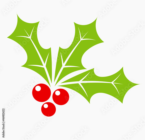 Christmas holly berry