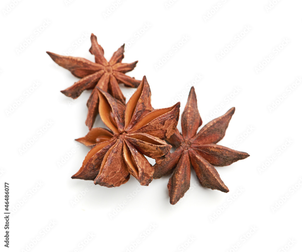 star anise star anise