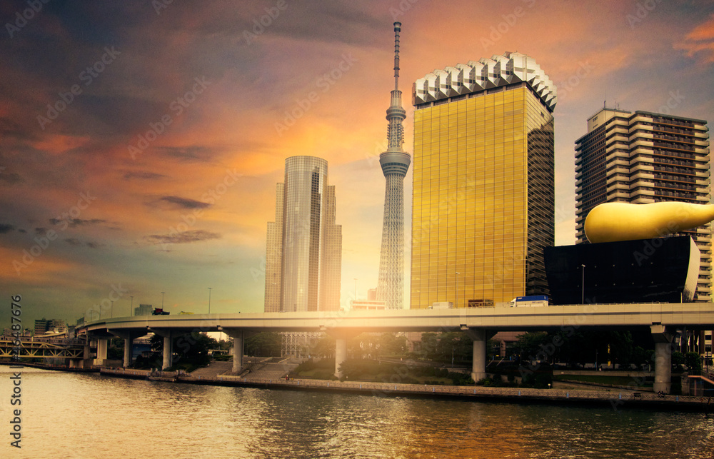 Naklejka premium Tokyo Skyline with Skytree