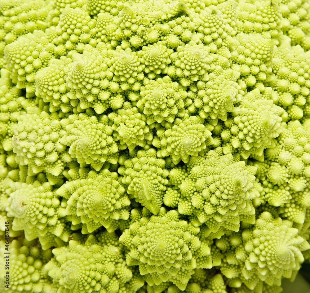 Romanesco broccoli close up Romanesco broccoli close up