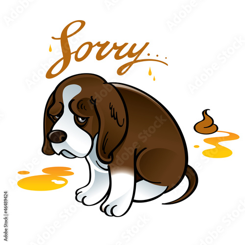 Sorry sad puppy dog pet shame