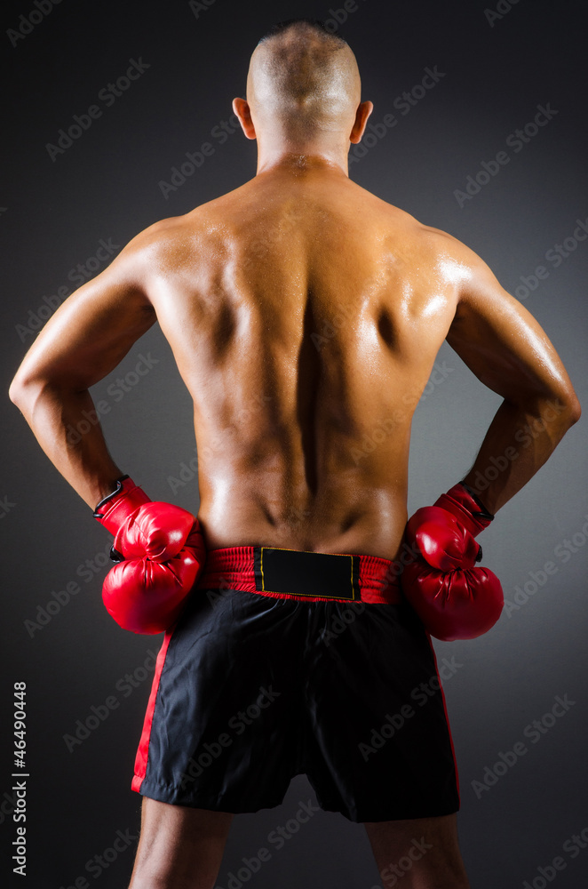 Muscular boxer in studio shooting