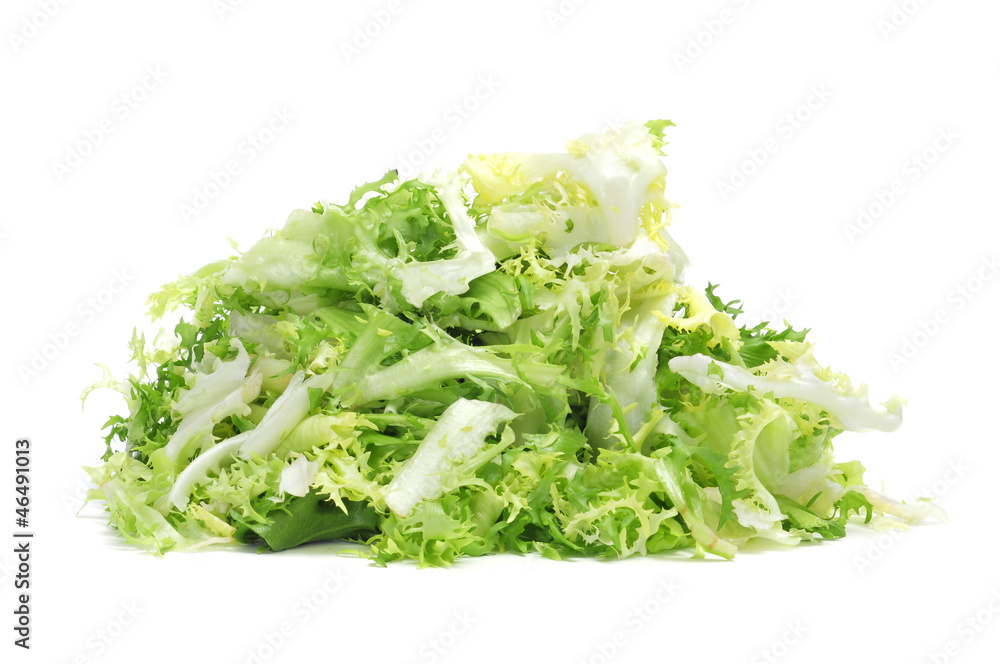 escarole endive escarole endive
