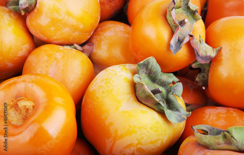 Tableau sur toile persimmon