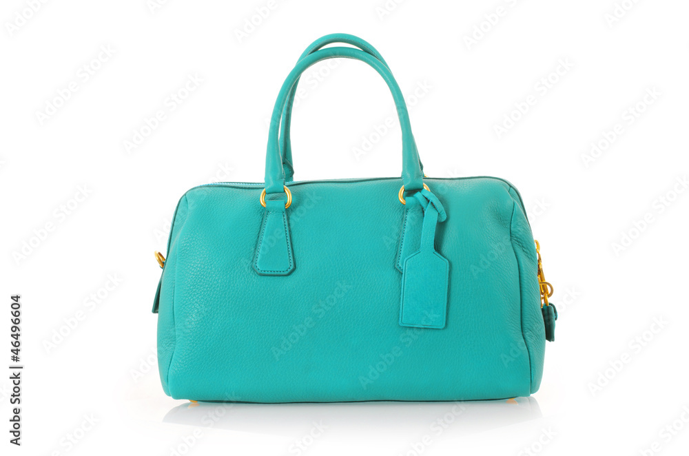 Elegant woman bag isolated on white Elegant woman bag isolated on white