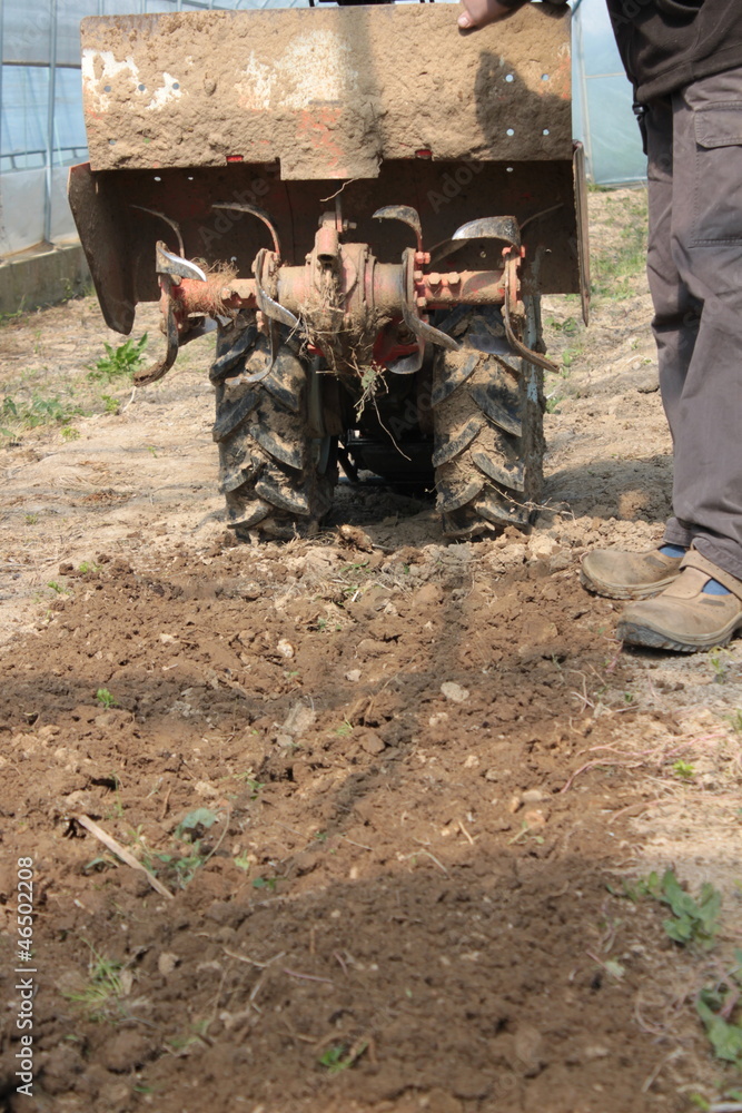 Fototapeta premium trattore agricolo
