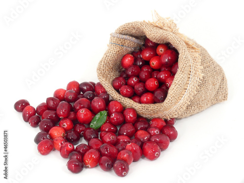 Cranberries_Moosbeeren photo