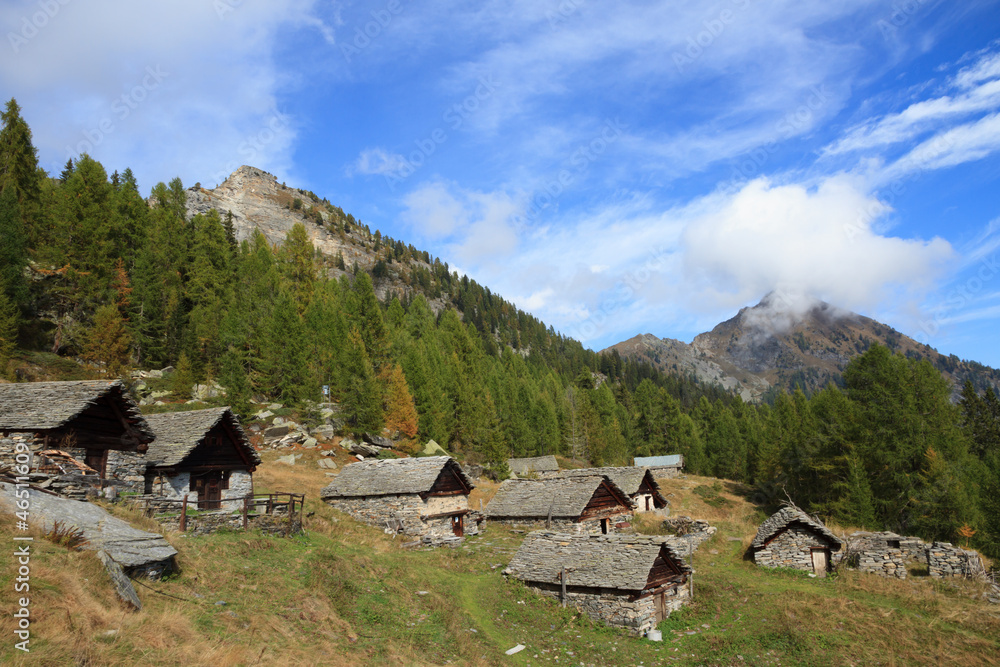 Ticino alm