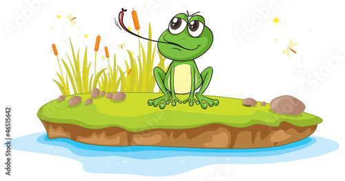 a frog and water