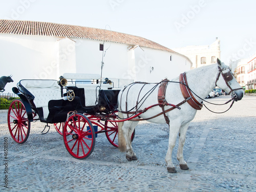 Horse carriage in Ronda. front bullfighting arena