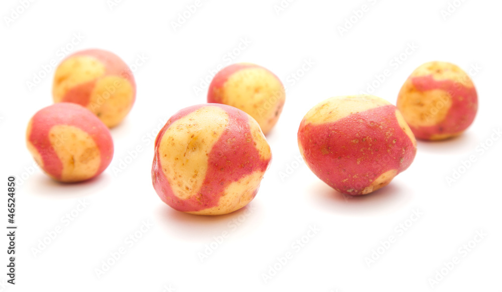 variety of canarian potatoes