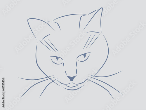 cat muzzle