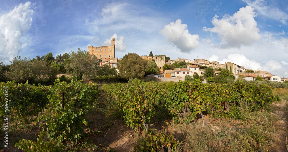 Vignobles de Chateauneuf-du-Pape