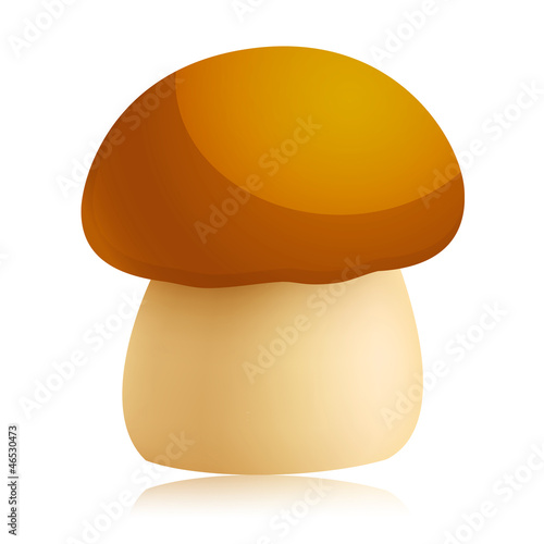 Champignon photo