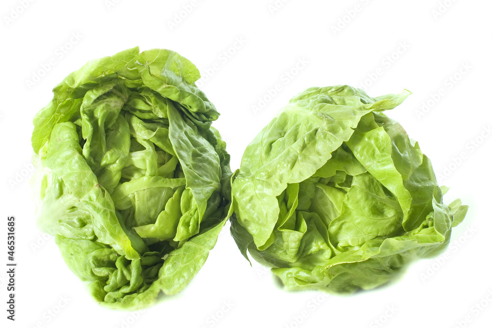 two sucrine salad two sucrine salad