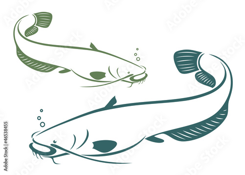 Catfish - vector illustration