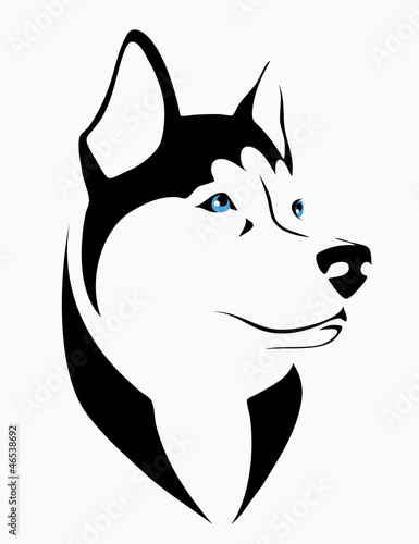 Husky dog - vector illustration
