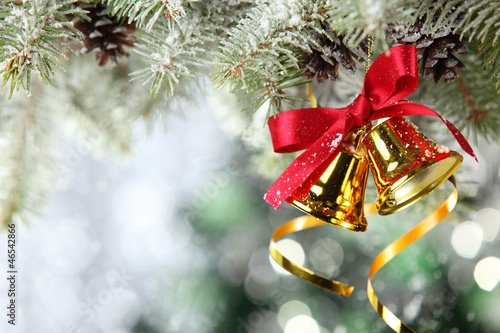 Photos Christmas Decoration