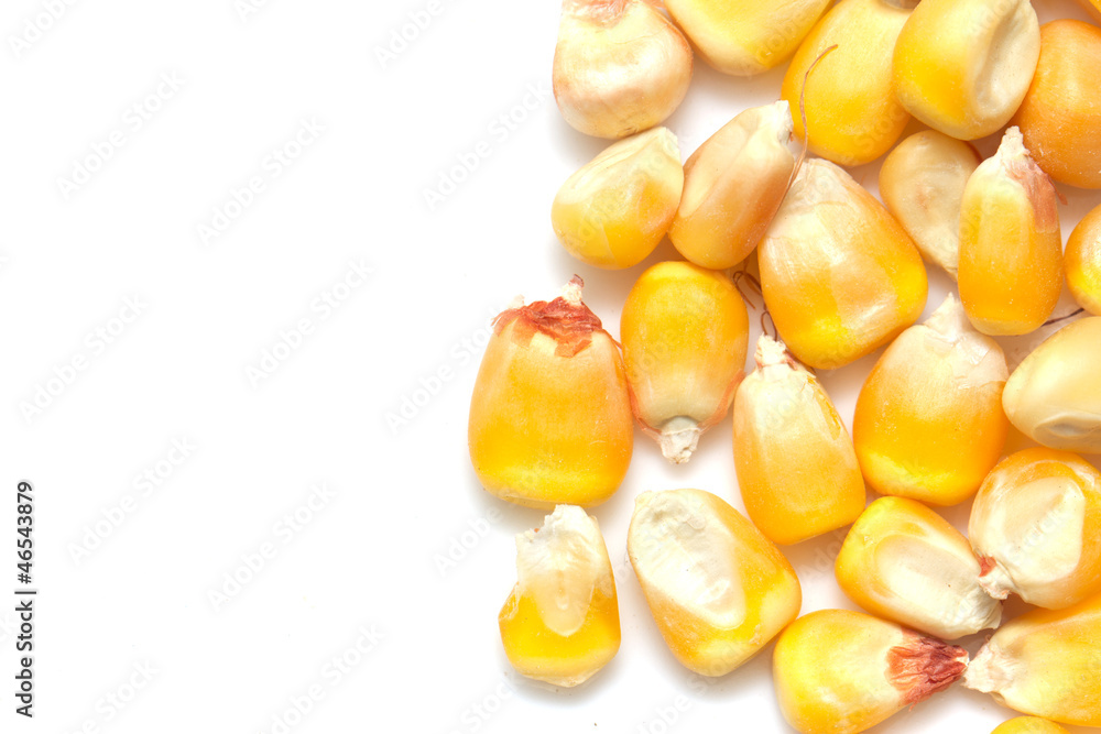 Fototapeta premium corn on a white background. macro