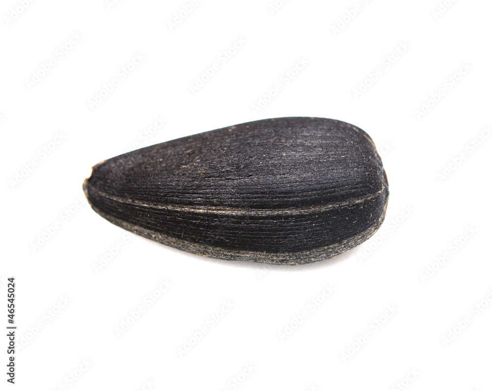 black seeds on a white background. macro black seeds on a white background. macro
