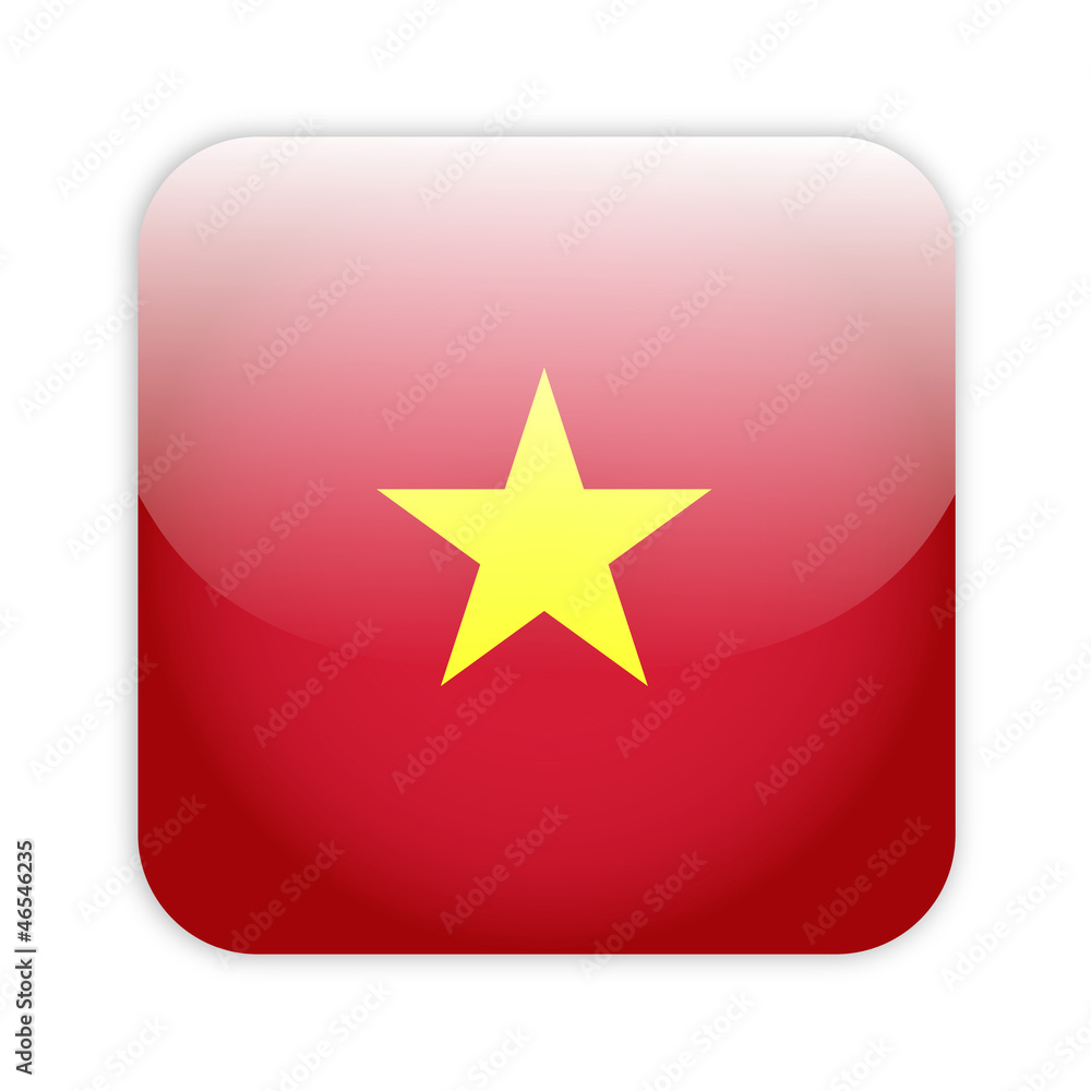 Vietnam flag button Vietnam flag button