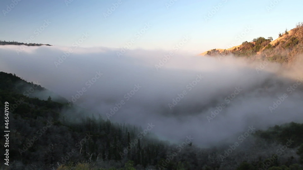 Fog Rolling In Fog Rolling In