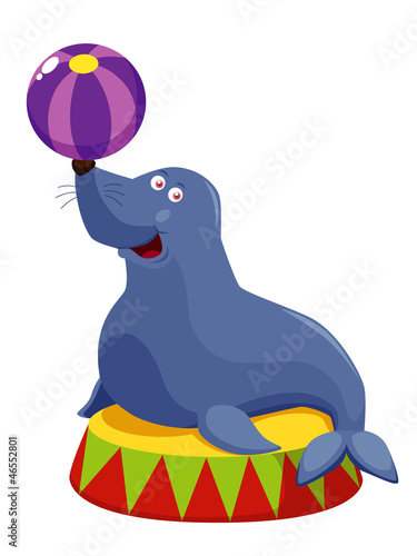 Fototapeta Naklejka Na Ścianę i Meble -  illustration of Circus seal playing a ball
