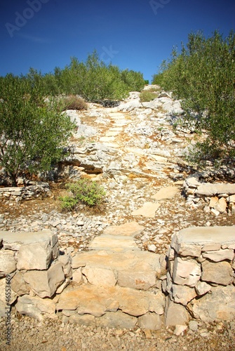 Rocky path in olive grove, Croatia Dalmatia